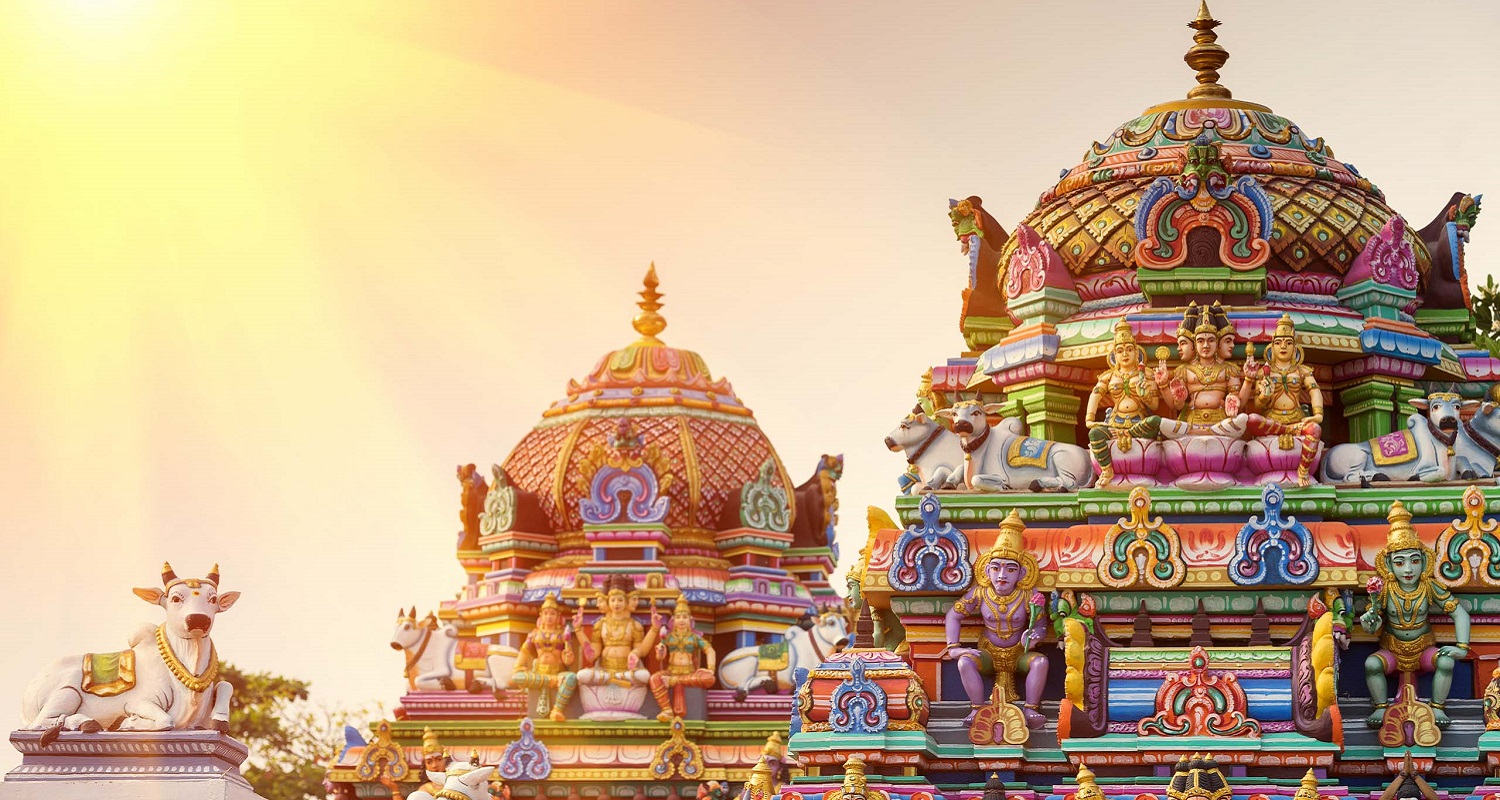 Contact | Hotel Catnap