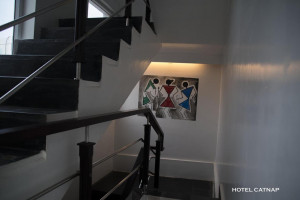 Gallery | Hotel Catnap 5